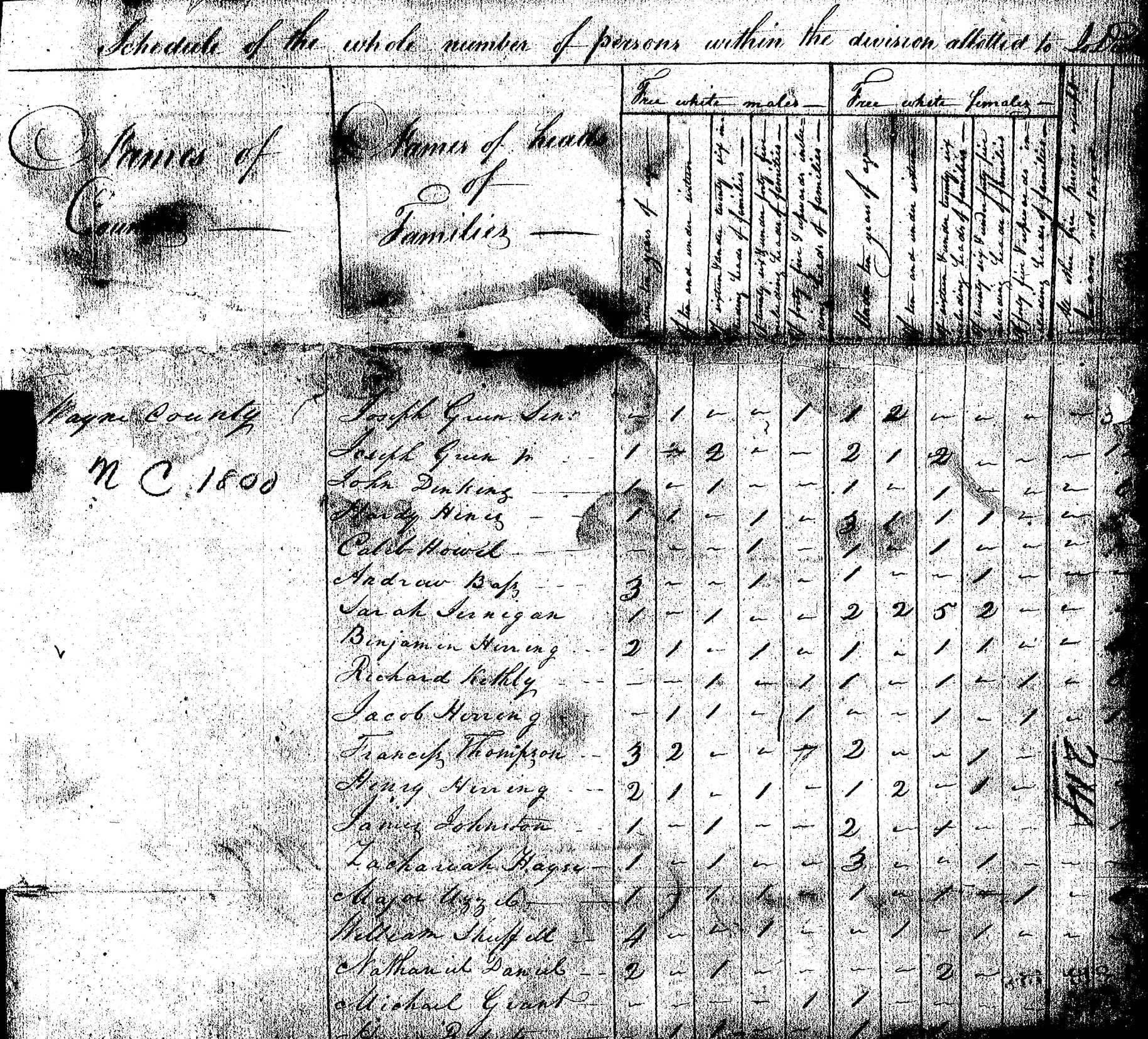 1800 Census Wayne Co