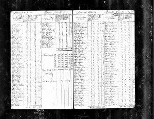 1790 Wayne Census Moses Stanley