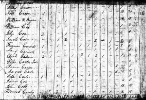 1800 Census Wayne - John Cobb