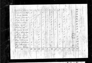 Jesse Cobb 1810 Census